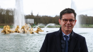 France appoints new president at Louvre after jewellery heist