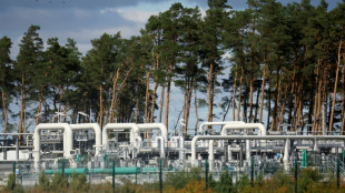 Grüne fordern von Bundesregierung "Schlussstrich" unter Nord Stream