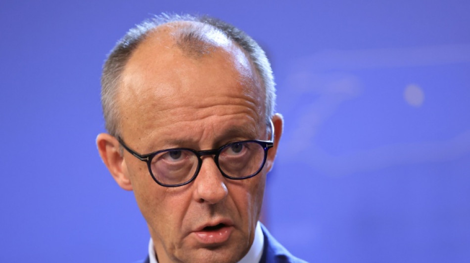 Merz preist Industriedaten als "enormen Vorteil" f&uuml;r KI-Aufbau in Deutschland an