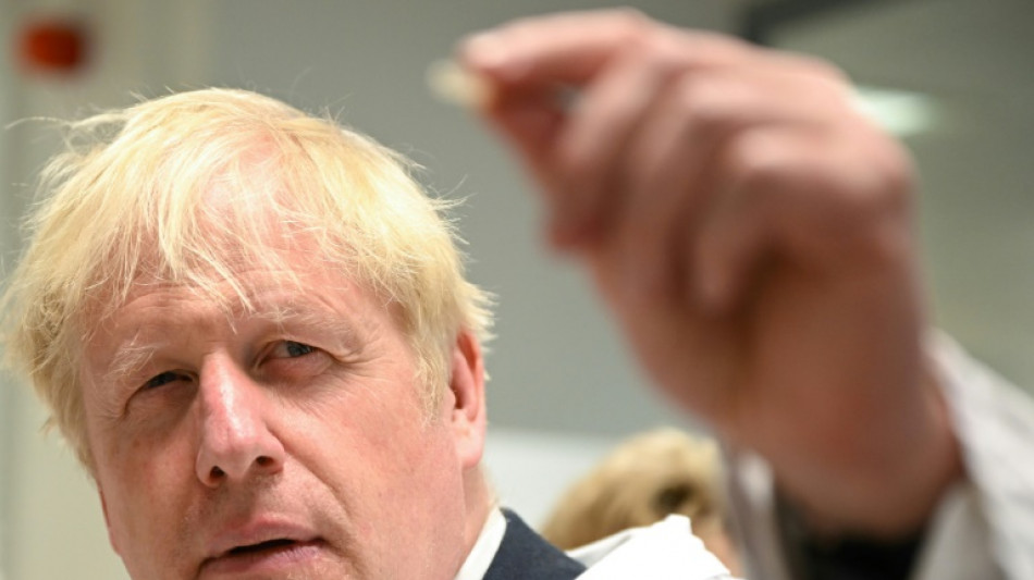 Auswahlverfahren zur Johnson-Nachfolge in Gro&szlig;britannien begonnen