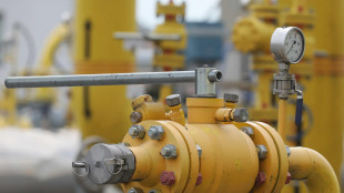 Il gas conclude in forte calo (-3,9%) a 34,2 euro al Megawattora