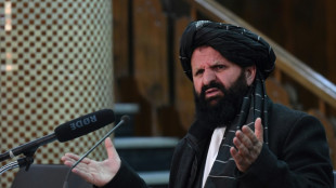 Los talibanes buscan dotar a Afganist&aacute;n de un "gran ej&eacute;rcito"