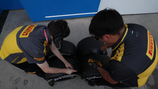I soci cinesi di Pirelli fanno ricorso al Tar contro il Golden Power