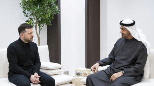 Zelensky affirme que l'Ukraine et les &Eacute;mirats arabes unis sont "convenus de coop&eacute;rer" en mati&egrave;re de d&eacute;fense