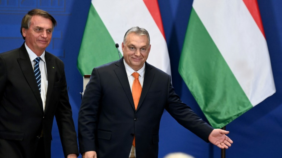 Bolsonaro destaca coincidencias con el ultranacionalista h&uacute;ngaro Orban
