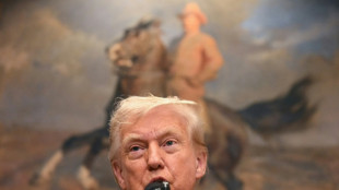 Trump celebra los aranceles: "Hacen que EEUU sea grande y rico de nuevo"