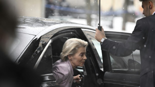 Trump-Z&ouml;lle: Von der Leyen ber&auml;t erneut mit Autobranche