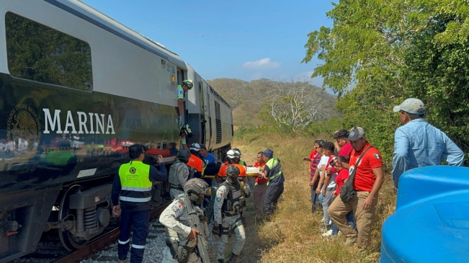 Al menos 13 muertos y 98 heridos por un accidente ferroviario en el sur de M&eacute;xico