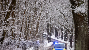 Kurioser Polizeieinsatz in Th&uuml;ringen: Mann w&auml;hlt Notruf wegen Schneeballtreffers