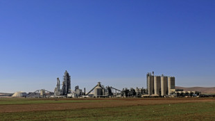 French court jails Lafarge ex-CEO for funding IS in Syria