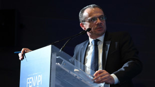 Fenapi, 'burocrazia &egrave; freno principale alla competitivit&agrave;'