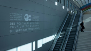 La OCDE revisa al alza sus previsiones de crecimiento para 2025 en EEUU, China y la zona euro