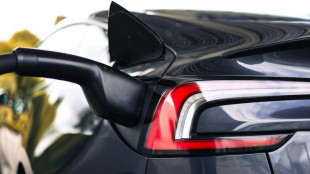 Schneider will an Verbot neuer Verbrenner-Fahrzeuge ab 2035 festhalten