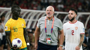 Graham Arnold dimite como entrenador de la selecci&oacute;n de f&uacute;tbol de Australia