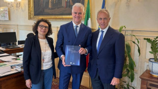 Made in Italy, un libro racconta le eccellenze nelle istituzioni