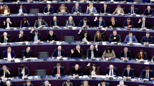 Kritik an Gr&uuml;nen nach Mercosur-Abstimmung - auch in eigenen Reihen