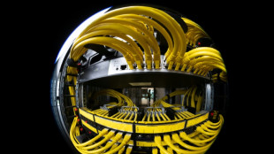 Weniger Ransomware-Angriffe auf Unternehmen - jedes f&uuml;nfte Opfer zahlt