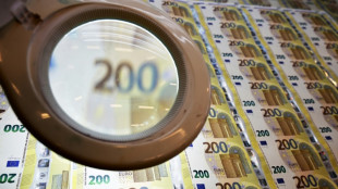 Rechnungshof fordert Prüfung von Steuersubventionen - Skepsis zu Koalitionsplänen