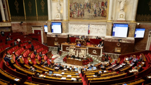 "Tout le monde s'en fout" : &agrave; l'Assembl&eacute;e, le spleen budg&eacute;taire bat des records