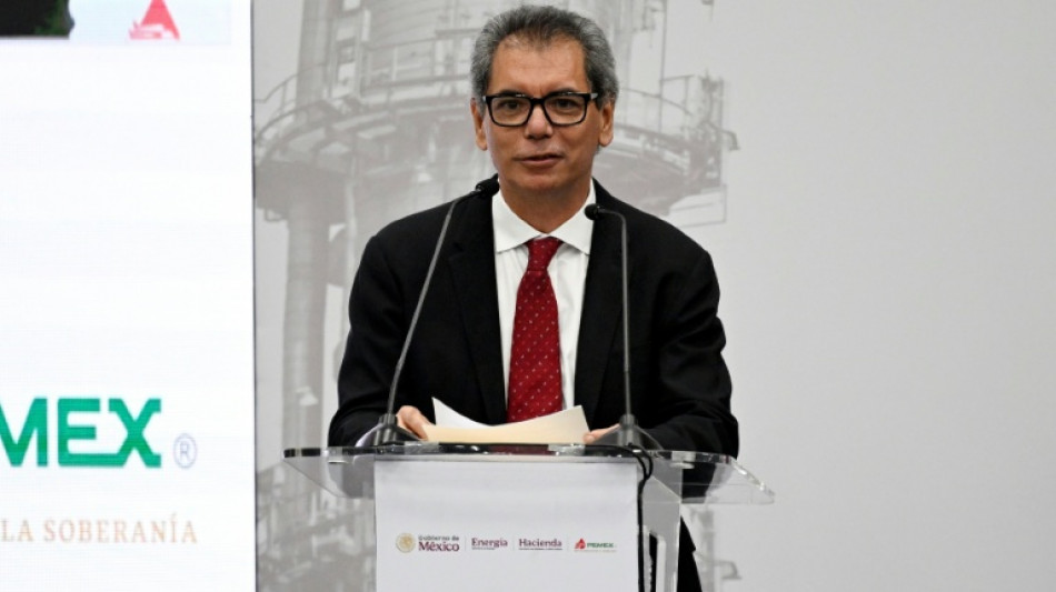 M&eacute;xico anuncia un plan que aumenta la inversi&oacute;n p&uacute;blica en 2% del PIB este a&ntilde;o