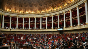 Le budget entre dans l'h&eacute;micycle mardi, la pr&eacute;sidentielle aussi