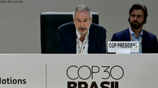 Keine Einigung in Sicht: Weltklimakonferenz in Bel&eacute;m geht in die Verl&auml;ngerung