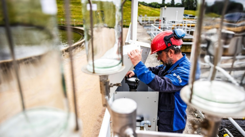EU-Beh&ouml;rde: Ewigkeitschemikalie TFA hat sch&auml;dliche Wirkung bei der Fortpflanzung