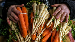 Vegetarischer Wolf aus französischem Supermarkt-Werbespot geht viral