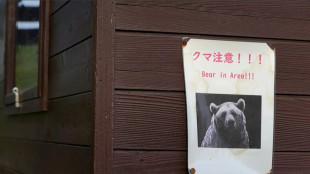 'Extremely intelligent' bear at large in Japan after hurting four