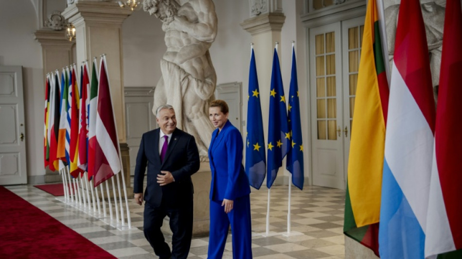 Orban: Ungarn hat "keine Alternativen" zu russischem Öl