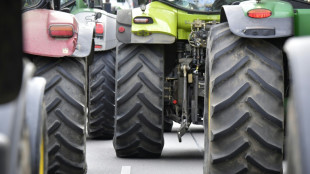 Menschen stürzen von Traktoranhänger: Vier teils schwer Verletzte