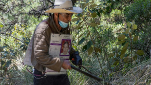 Families search Mexican forest for remains of over 100 missing
